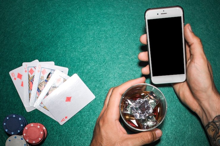 Tampilan dashboard akun pengguna dengan kontrol akses dan pengaturan privasi
